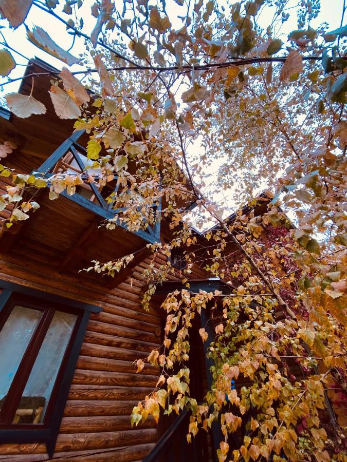 Boutigue Hotel Nebesa Chimgan Buitenkant foto